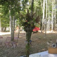 Domaine La Belle Époque