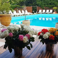 Le Patio d'Allauch - Terrasse & Piscine