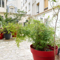 Espace Saint Antoine