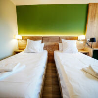Chambre twin hôtel Lou Gandar