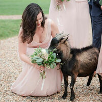 Château Barthélemy