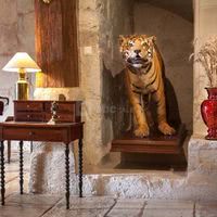 Domaine de l'Angleterre