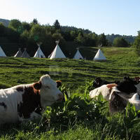 Village Tipi
