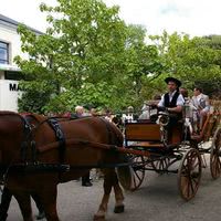 Arrivée au domaine en calèche