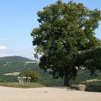 Le Manoir de Munas