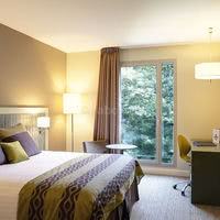 Chambre forêt