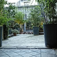 Villa Violet