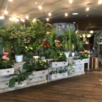 Hôtel Ibis Bastille Opéra