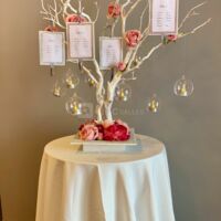 Salle de reception 77 Mary d'Arvigny La cosy