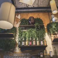 Gamme de sodas BIO allemands