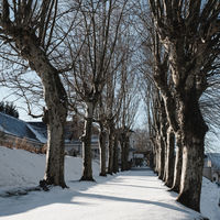 L'hiver au Domaine