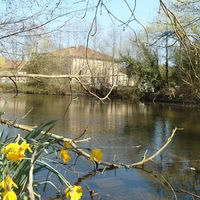 Le Complexe 85