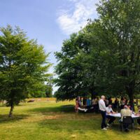 Des moments de partage sous les arbres