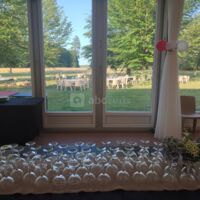 Domaine de Colpo - Flow des champs