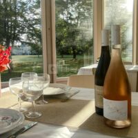 Domaine de Colpo - Flow des champs