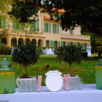 Brunch dans la parc avec l' Atelier traiteur