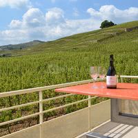 Terrasse du fief de gambert