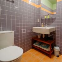 Chambre Standard - Renard