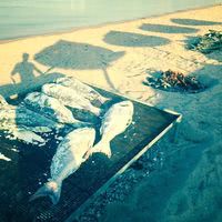 Maora Beach
