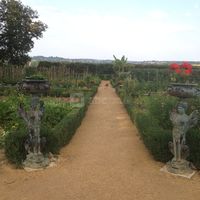 Le potager