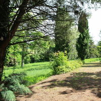 Parc