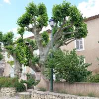 Le Pavillon de Bauduen