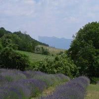 La Ferme de Baume Rousse