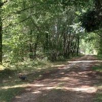 Domaine de La Championne