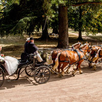 L'arrivée des mariés en calèche