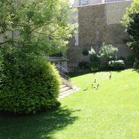 Le jardin et ses habitants: des canards indiens et des faisans