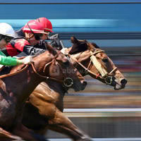Hippodrome Pornichet Evenements