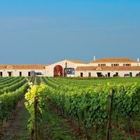 Vue extérieure Vignoble