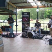 #domainelafontaine19 musicien vin d'honneur