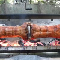 Traiteur, rôtisseur, dj, ... tépacap peut vous proposer des prestataires si vous le souhaitez pour vos soirées au tépacap fiesta. vous pouvez également sélectionner vos propres prestataires.