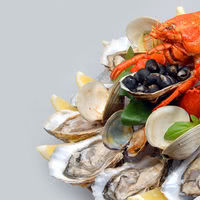 Comptoir des Mers