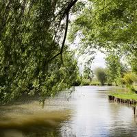 Les etangs