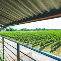 Salle des vignes vue balcon