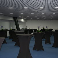 Salle de réception 2