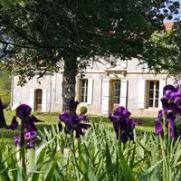 Château la Gontrie