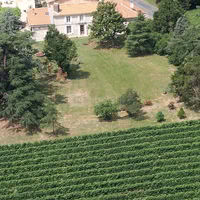 Vue aérienne du magnolia