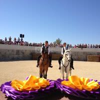 Spectacle equestre