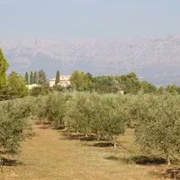 Domaine de La Pommé