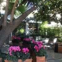 Restaurant les Palmiers