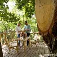 Les Cabanes des Grands Chênes