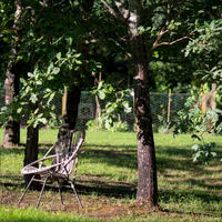 Le parc du Domaine de Petiosse