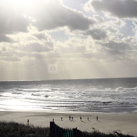 La plage de Contis