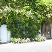 Cave de la Bonne Dame