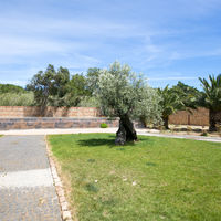 Domaine du Mas Conte