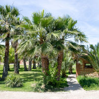 Domaine du Mas Conte
