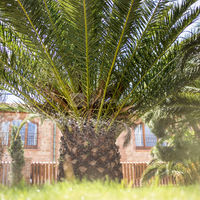 Domaine du Mas Conte